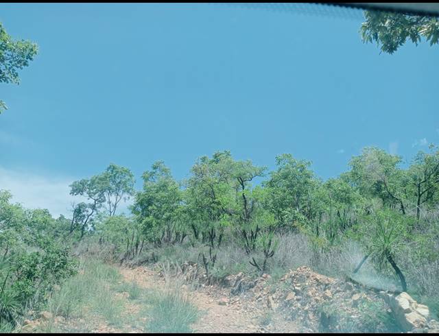 4.70HA SMALLHOLDING SOLD IN KARINO